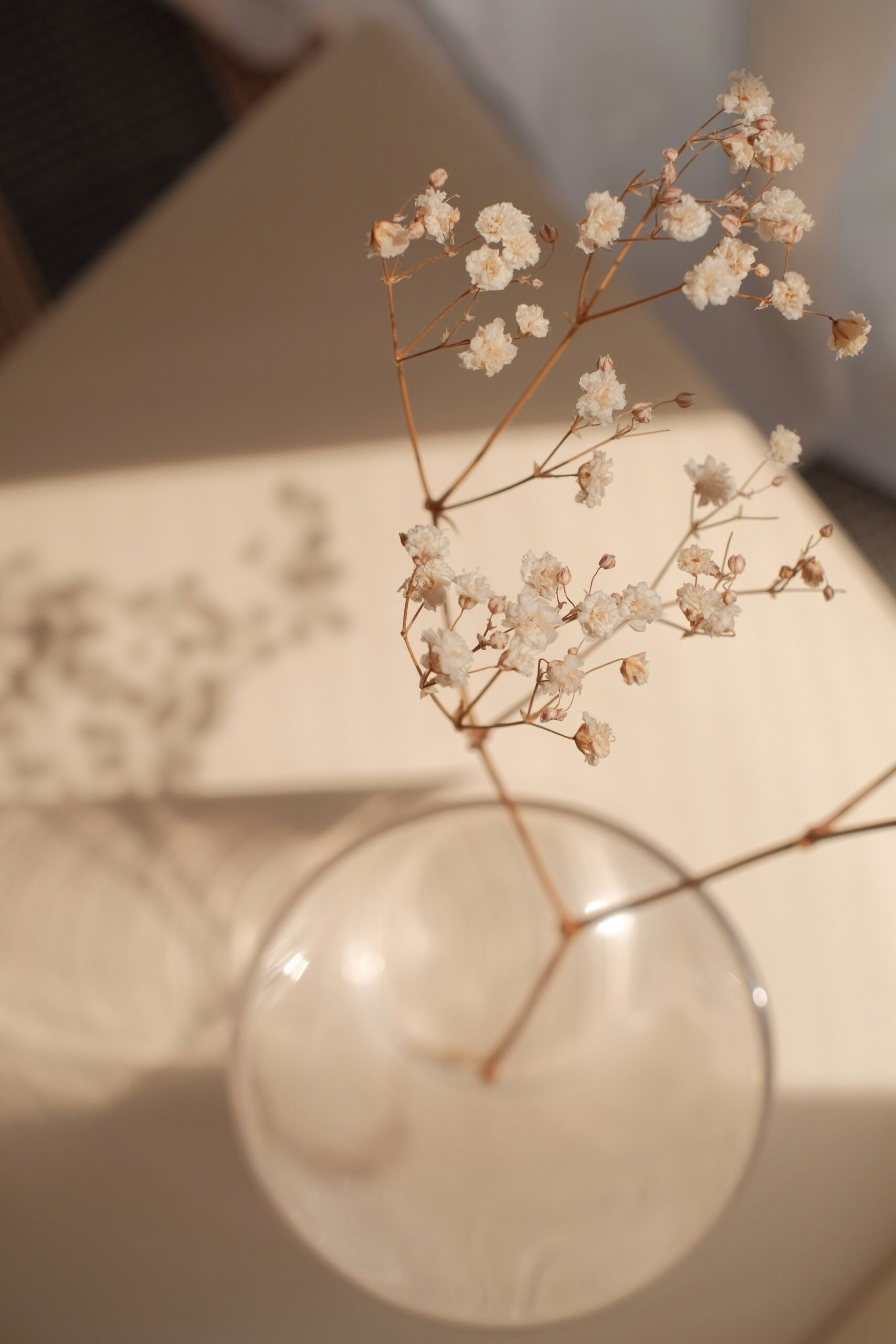 Clear glass vase with white flower blossom branch