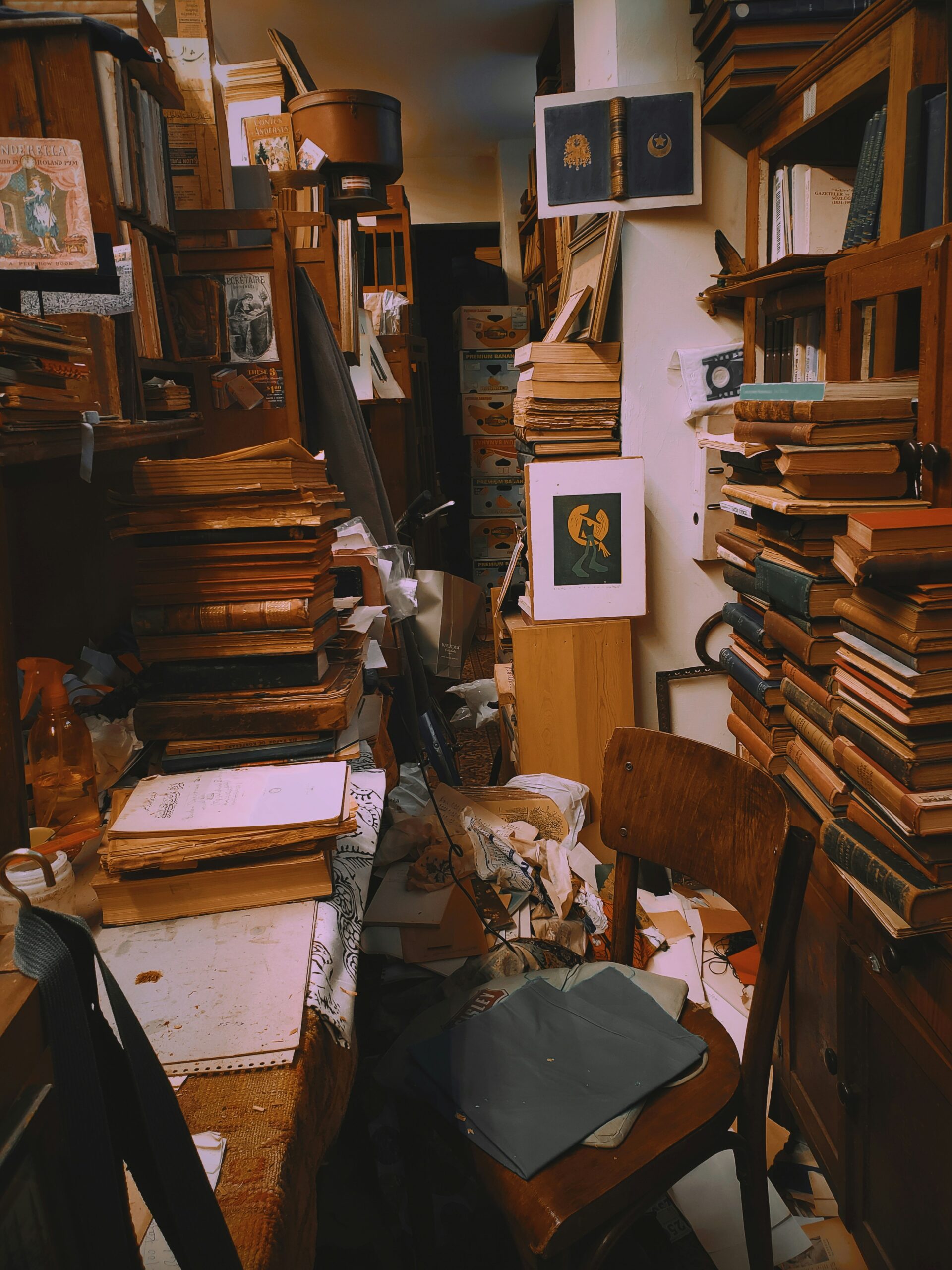 room full of books and papers strewn about in disarray